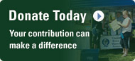 Donate Today